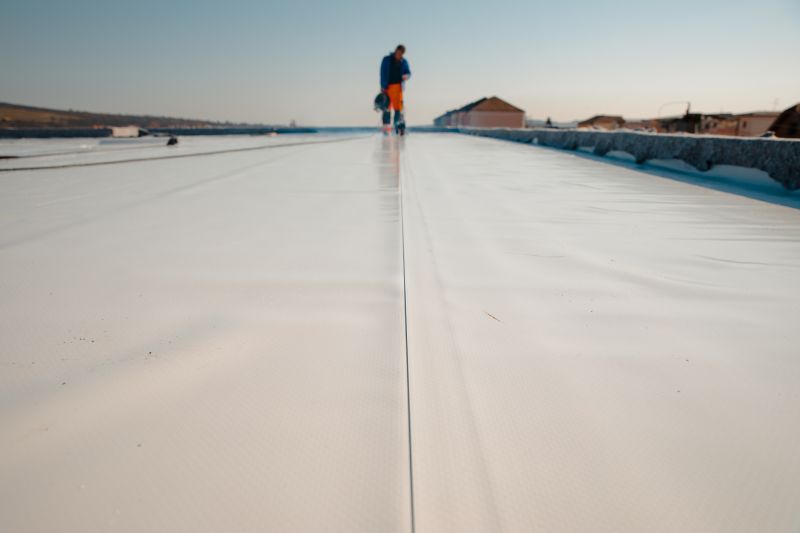 Roof Coating Application