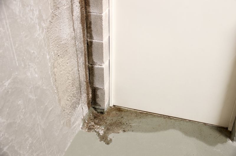 Signs of Waterproofing Needs